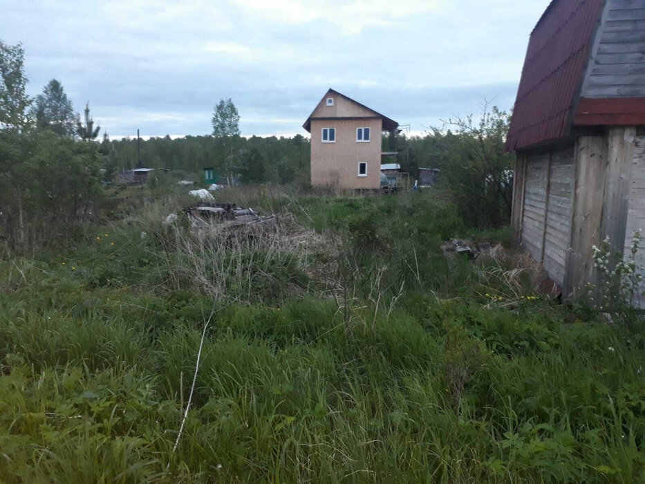 Екатеринбург, СНТ Надежда-3, уч. 47 (Шабровский) - фото сада (3)