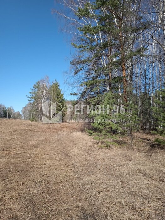 с. Курганово, ул. Ленина, 1/1 (городской округ Полевской) - фото земельного участка (5)