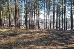 п. Калиново, ул. Советская, 32б (городской округ Невьянский) - фото земельного участка