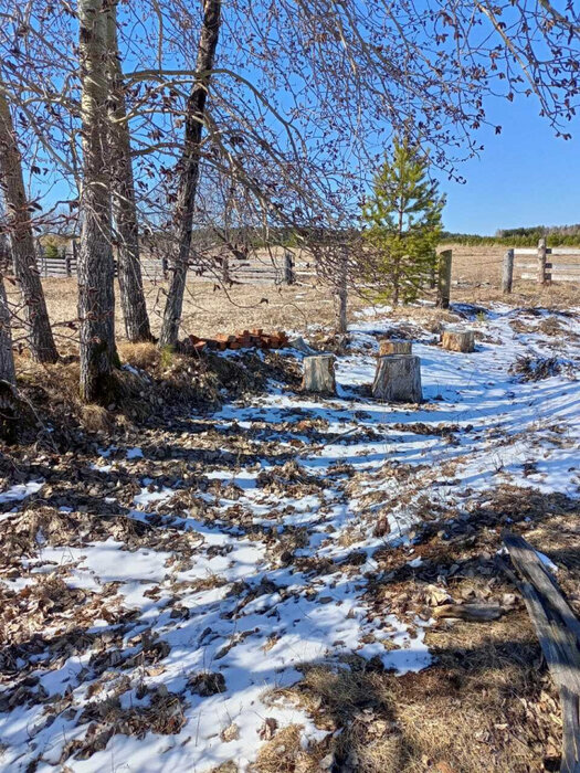 п. Мурзинка (г.о. Новоуральский), ул. Заречная, 80 (городской округ Новоуральский) - фото дома (5)