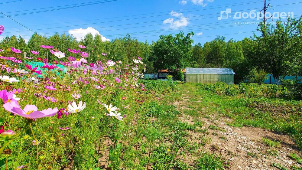 п. Колюткино, Кс Бетфор (городской округ Белоярский) - фото сада (2)