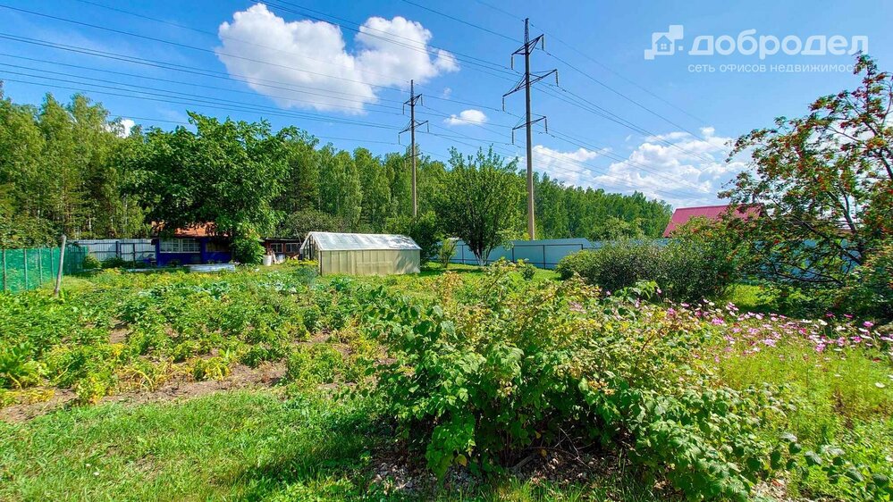 п. Колюткино, Кс Бетфор (городской округ Белоярский) - фото сада (3)