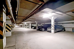 Екатеринбург, ул. Крауля, 44 (ВИЗ) - фото гаража