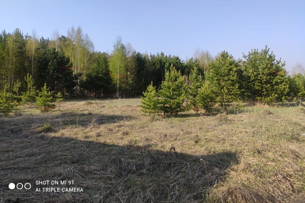 д. Гусева, ул. Гоголя, 56 (городской округ Белоярский) - фото земельного участка (1)