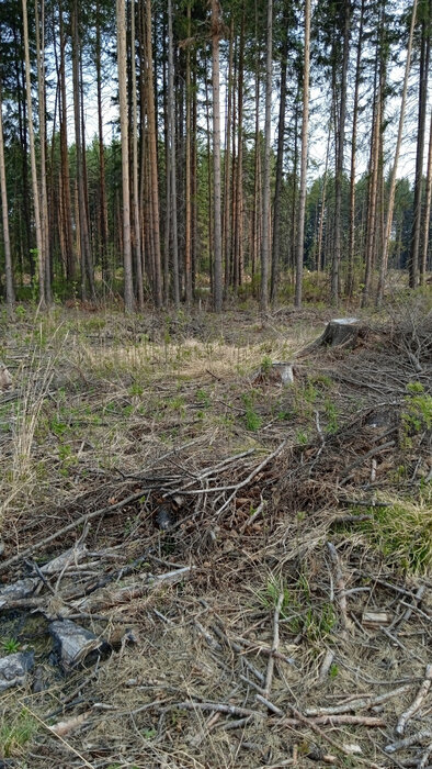 г. Ревда, ул. Облепиховая, 22 (городской округ Ревда) - фото земельного участка (3)