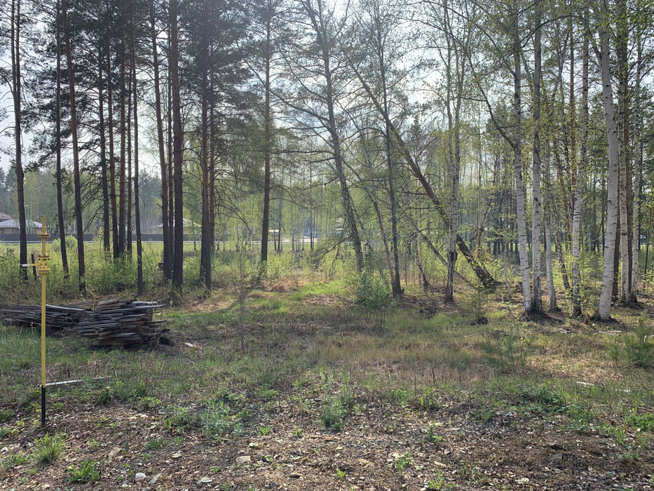 к.п. Заповедник, ул. Рысь, 233 (городской округ Сысертский, п. Габиевский) - фото земельного участка (4)