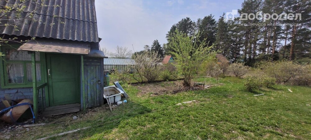 поселок городского типа Белоярский, к/с Дружба-1, ул. Школьная, 18Б (городской округ Белоярский) - фото сада (5)