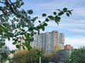 Продажа квартиры: Екатеринбург, ул. Шейнкмана, 118 (Центр) - Фото 2