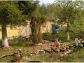 Продажа садового участка: п. Лосиный, СНТ 85, уч. 5 (городской округ Березовский) - Фото 4