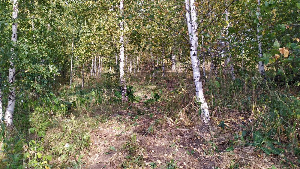 г. Ревда, ул. Октябрьская (городской округ Ревда) - фото земельного участка (1)