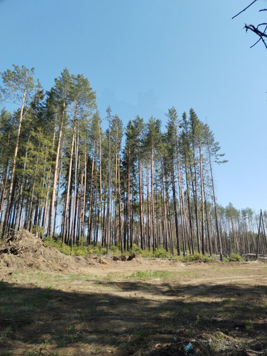 г. Ревда, ул. Воинской славы, 38 (городской округ Ревда) - фото земельного участка (2)