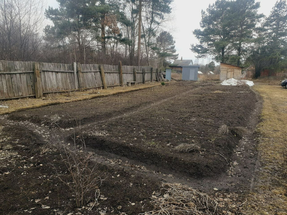 г. Нижний Тагил, Земляничная поляна (городской округ Нижний Тагил) - фото сада (1)