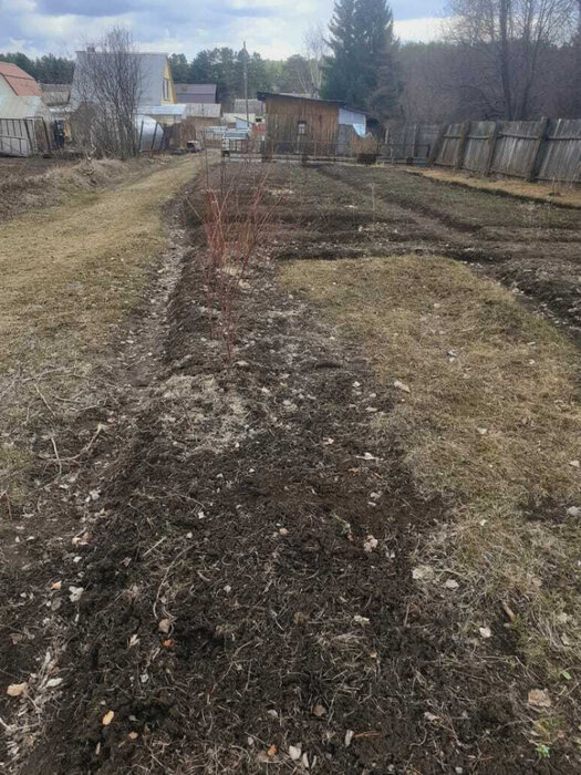 г. Нижний Тагил, Земляничная поляна (городской округ Нижний Тагил) - фото сада (7)
