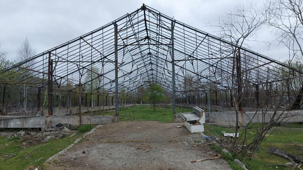 г. Нижний Тагил, к/с  СНТ № 3 (городской округ Нижний Тагил) - фото земельного участка (5)