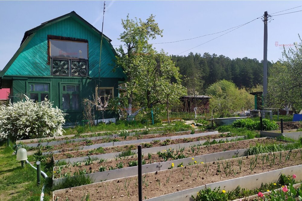 г. Березовский, Коллективный сад №41 Панорама (городской округ Березовский) - фото сада (4)