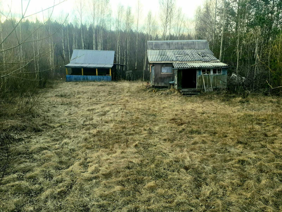 г. Нижний Тагил, к/с Зайгора (городской округ Нижний Тагил) - фото сада (1)