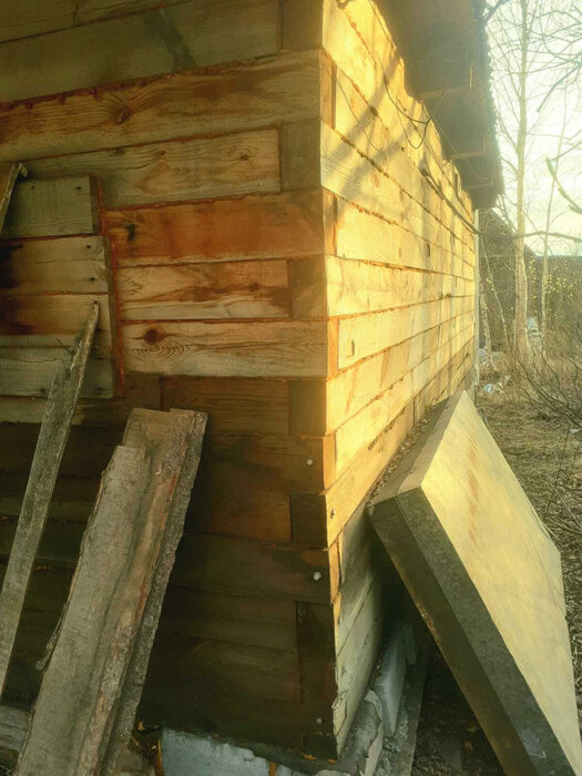 г. Нижний Тагил, к/с Зайгора (городской округ Нижний Тагил) - фото сада (3)