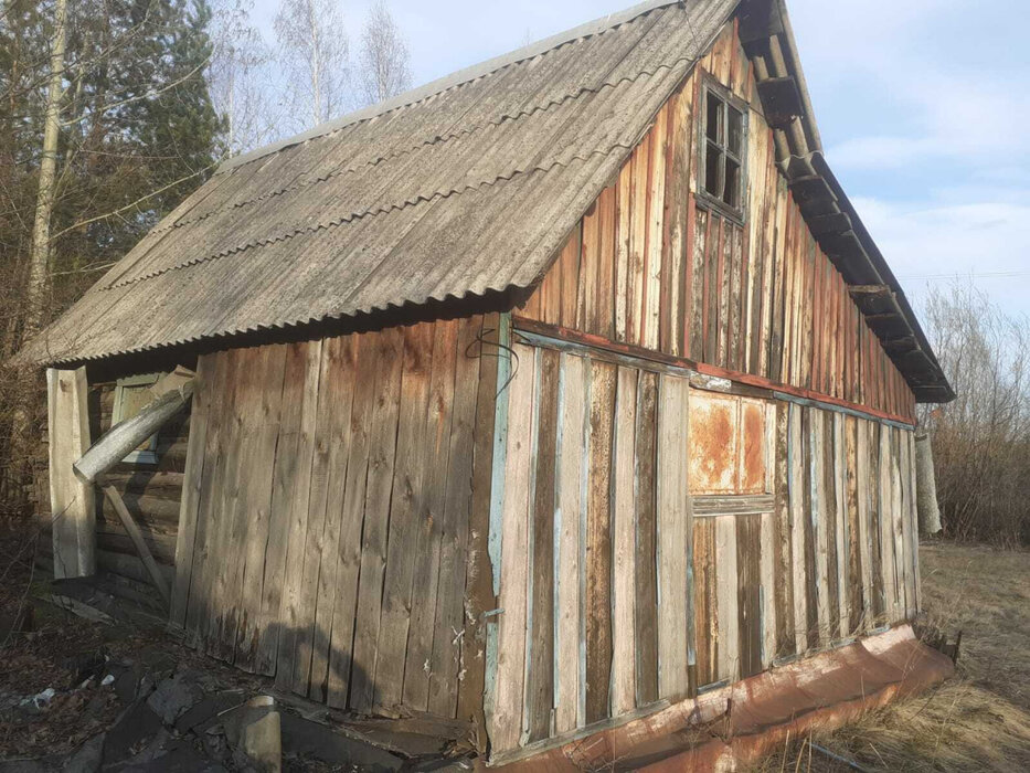 г. Нижний Тагил, к/с Зайгора (городской округ Нижний Тагил) - фото сада (5)