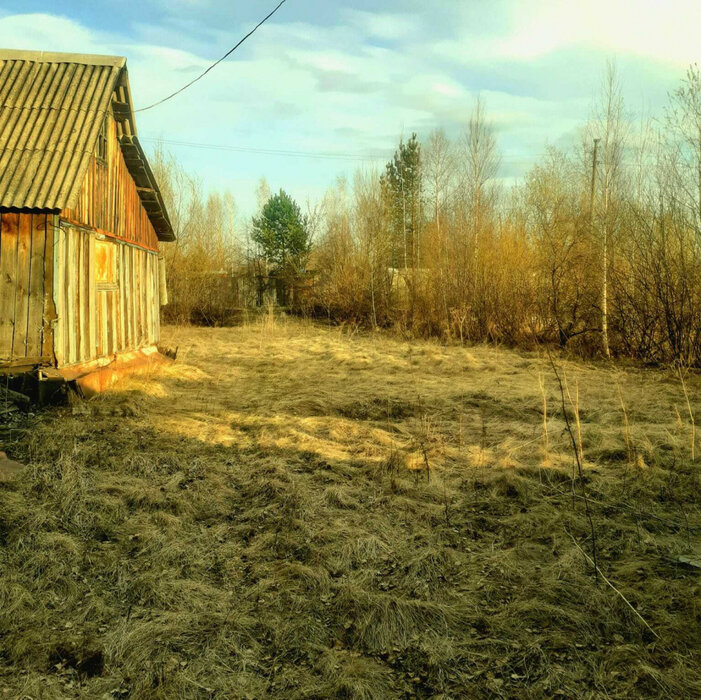г. Нижний Тагил, к/с Зайгора (городской округ Нижний Тагил) - фото сада (6)