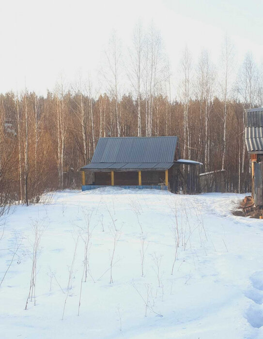 г. Нижний Тагил, к/с Зайгора (городской округ Нижний Тагил) - фото сада (7)