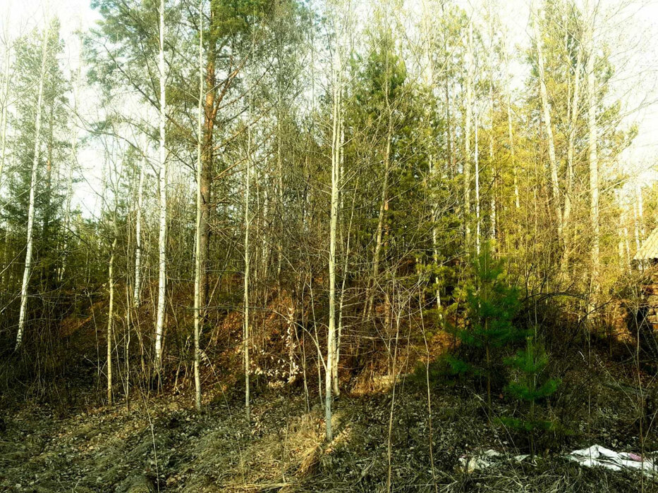 г. Нижний Тагил, к/с Зайгора (городской округ Нижний Тагил) - фото сада (8)