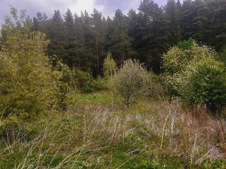 г. Нижний Тагил, СНТ ТИМИРЯЗЕВА (городской округ Нижний Тагил) - фото сада (6)