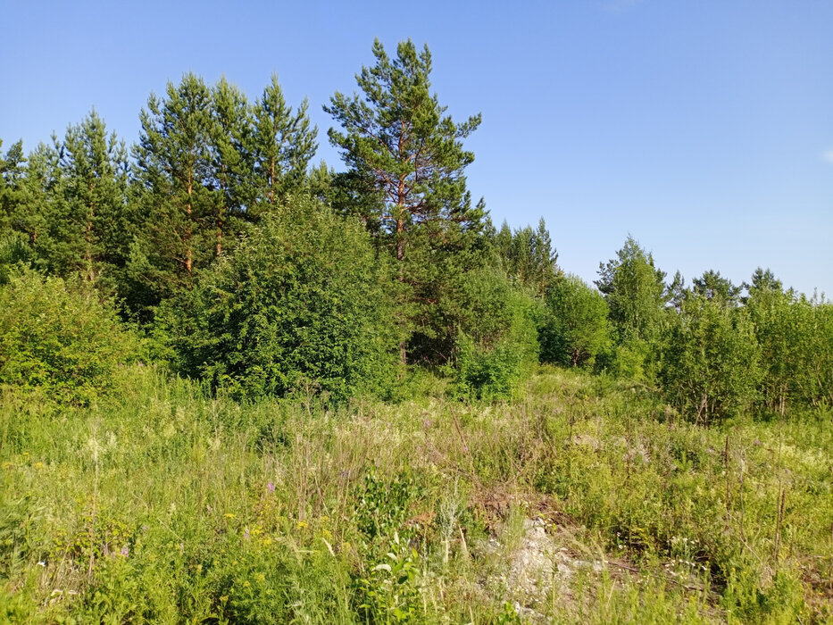 Екатеринбург, ул. Романтиков - фото земельного участка (5)