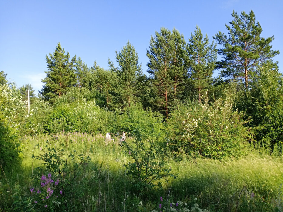 Екатеринбург, ул. Романтиков - фото земельного участка (7)