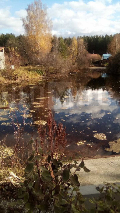 г. Березовский, тер. Коллективный сад N67, уч. 62 (городской округ Березовский) - фото сада (1)