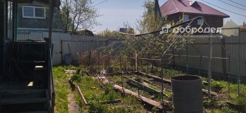 Екатеринбург, к/с Строитель-21 (Широкая речка) - фото сада (6)