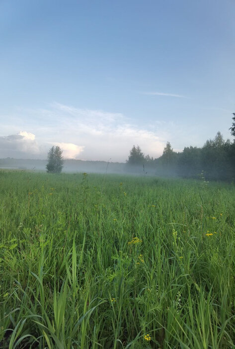 с. Курганово, ул. Александровские Дачи (городской округ Полевской) - фото земельного участка (1)