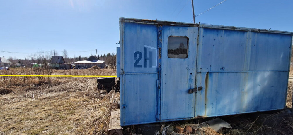 п. Красный Адуй, СНТ Родник-1, уч. 3 (городской округ Верхняя Пышма) - фото сада (3)