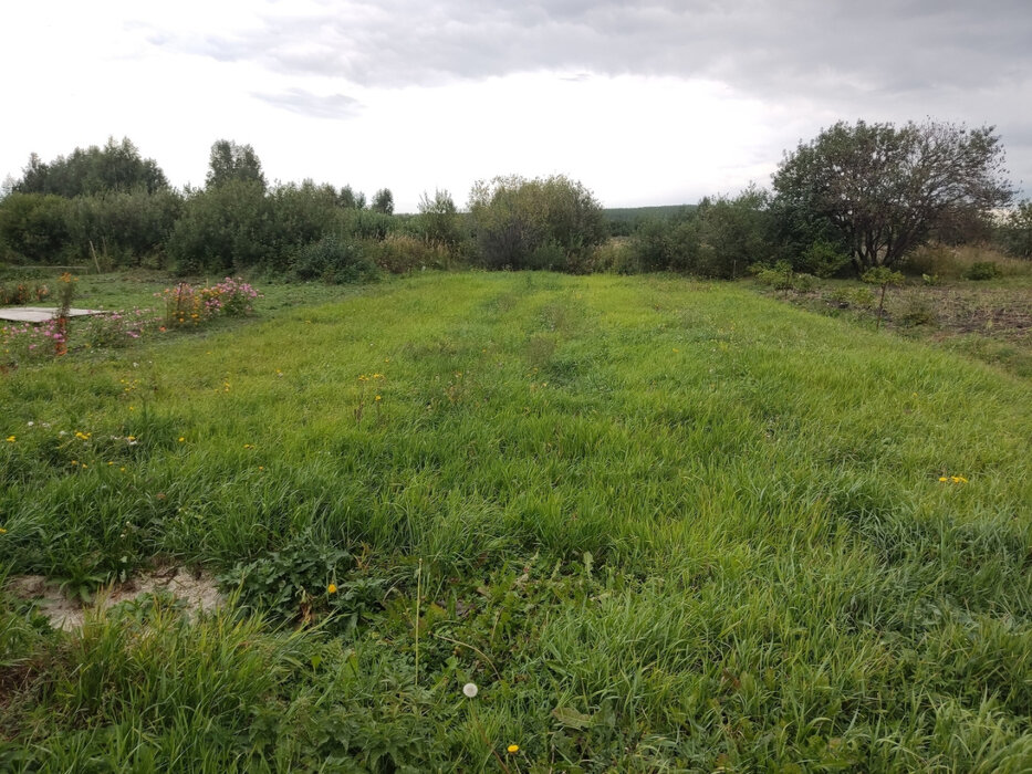 Екатеринбург, к/с Надежда - фото сада (1)