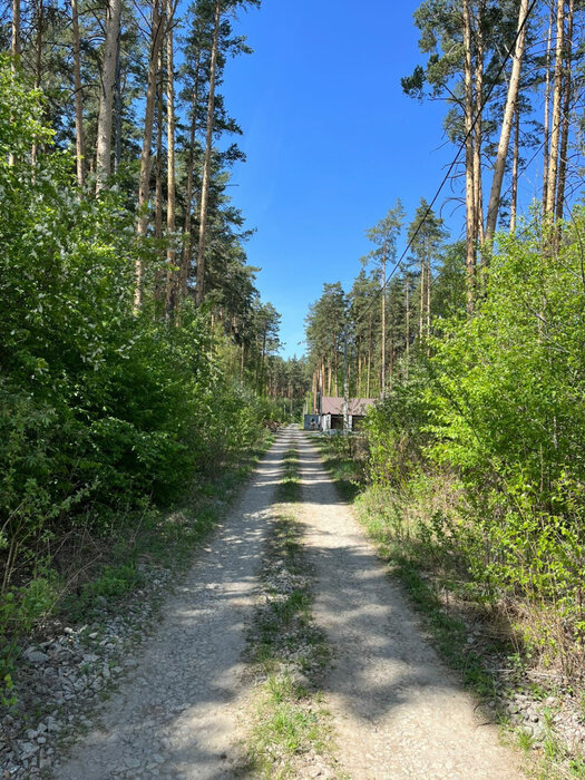 Екатеринбург, СНТ Исток, уч. 199 (М.Исток) - фото сада (1)