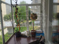 Продажа квартиры: г. Ревда, ул. Ковельская, 3 (городской округ Ревда) - Фото 4