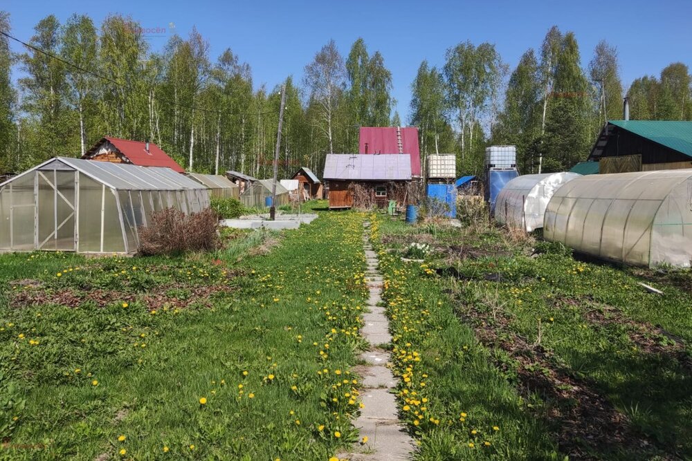 п. Кедровка, СНПК 63/2 (городской округ Березовский) - фото сада (3)