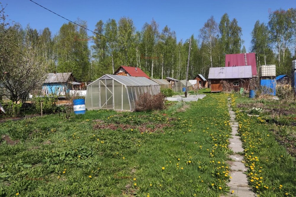 п. Кедровка, СНПК 63/2 (городской округ Березовский) - фото сада (4)