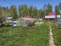 Продажа садового участка: п. Кедровка, СНПК 63/2 (городской округ Березовский) - Фото 4