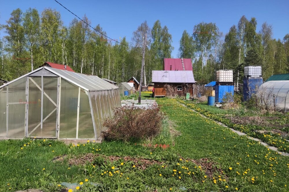 п. Кедровка, СНПК 63/2 (городской округ Березовский) - фото сада (5)