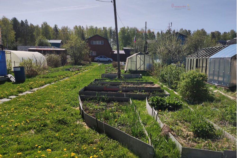 п. Кедровка, СНПК 63/2 (городской округ Березовский) - фото сада (8)