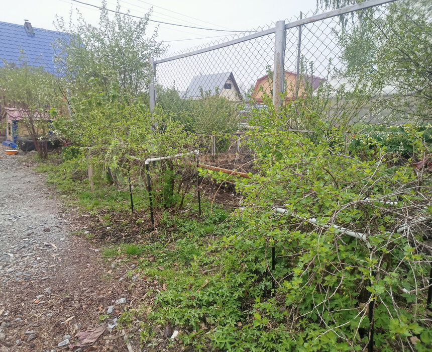Екатеринбург, снт. Дорожник, ул. 7-я линия, 332 - фото сада (6)