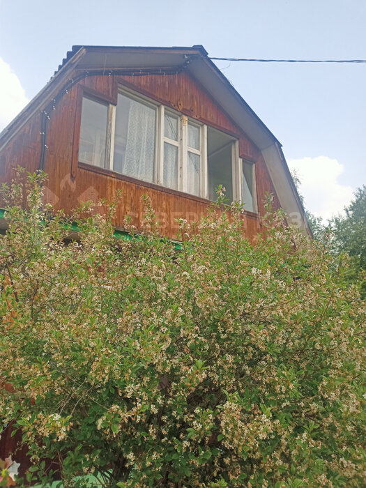 Екатеринбург, снт Буровик-2, уч. 37 - фото сада (1)