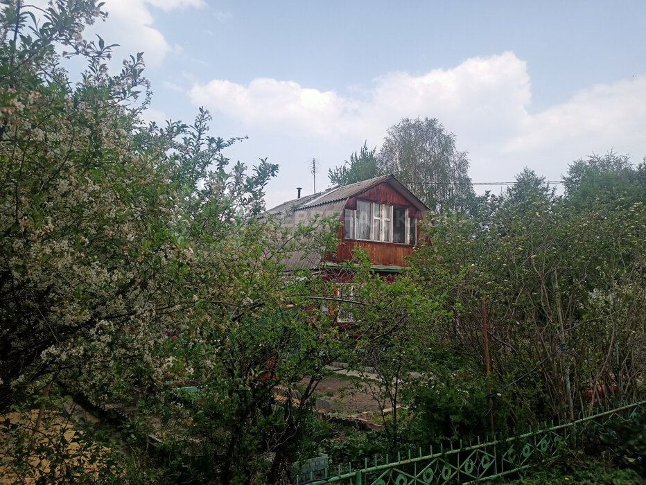 Екатеринбург, снт Буровик-2, уч. 37 - фото сада (3)