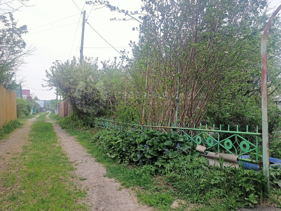 Екатеринбург, снт Буровик-2, уч. 37 - фото сада (6)