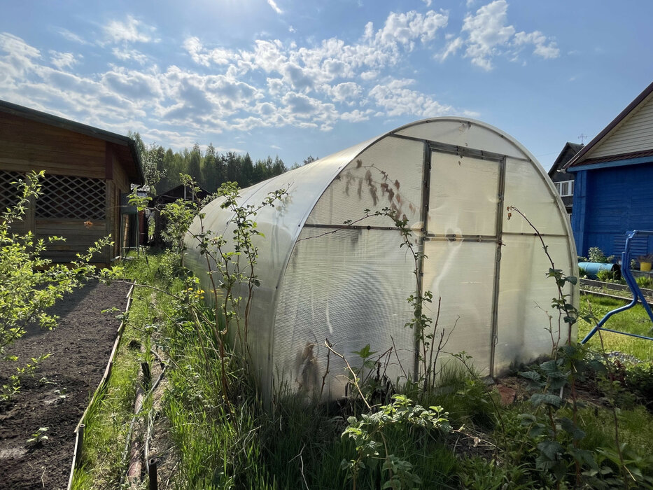 г. Нижний Тагил, СТ озерки (городской округ Нижний Тагил) - фото сада (4)