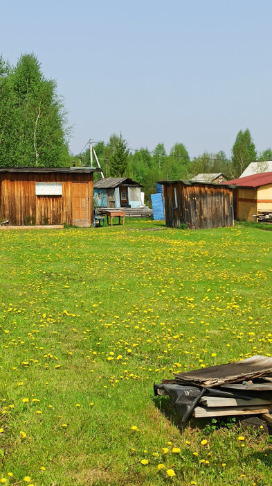 п. Красный Адуй, СТ Турбинка  (городской округ Верхняя Пышма) - фото сада (2)