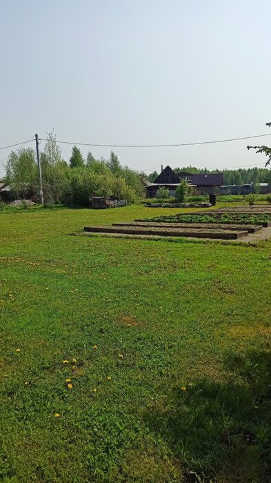 п. Красный Адуй, СТ Турбинка  (городской округ Верхняя Пышма) - фото сада (3)