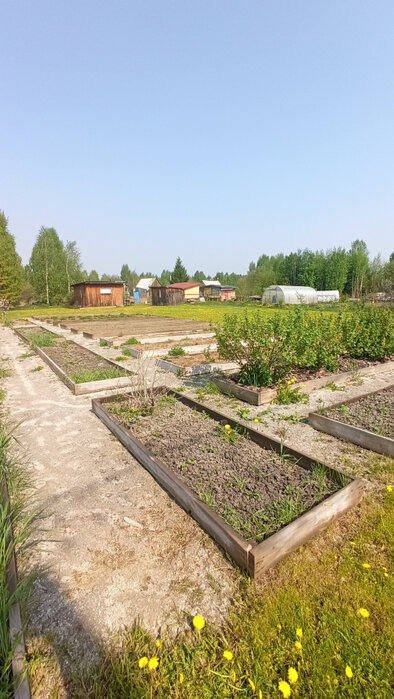 п. Красный Адуй, СТ Турбинка  (городской округ Верхняя Пышма) - фото сада (4)