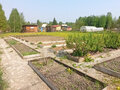 Продажа садового участка: п. Красный Адуй, СТ Турбинка  (городской округ Верхняя Пышма) - Фото 4