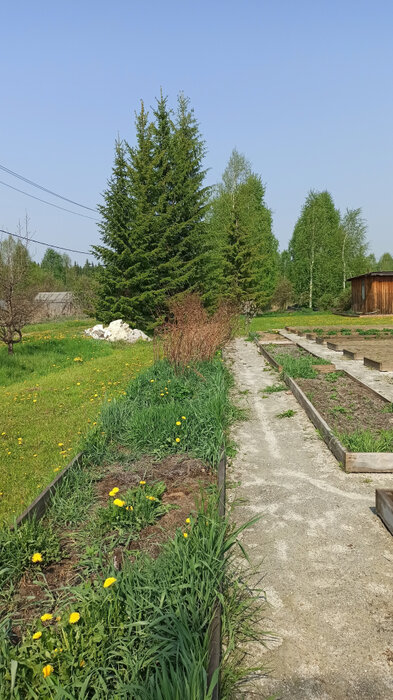 п. Красный Адуй, СТ Турбинка  (городской округ Верхняя Пышма) - фото сада (5)